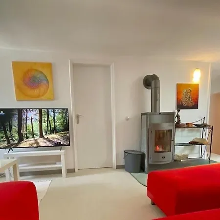 Goldregen - Wood-burning Stove, Forest&starry Sky *