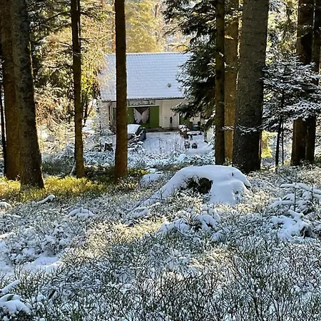 Lejlighed Goldregen - Wood-burning Stove, Forest&starry Sky Forbach